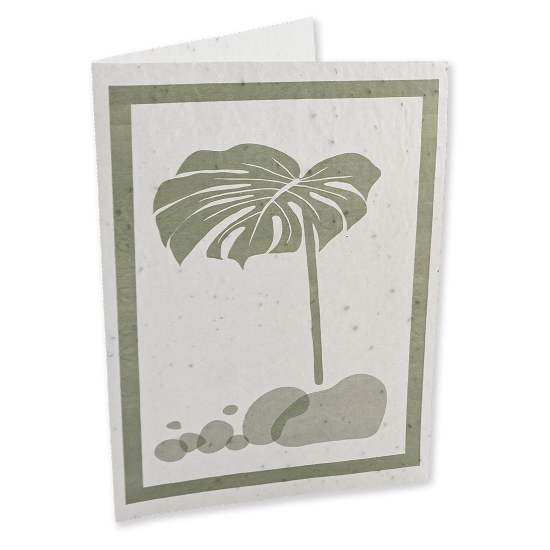 Seedpaper_cards_A5_06-square